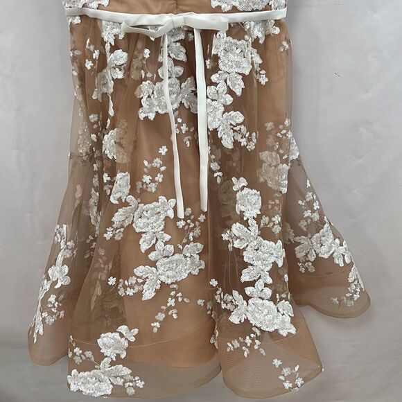 CALVIN KLEIN SEQUINS & LACE A LINE DRESS SIZE 4 - Picture 5 of 10